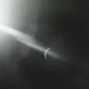 Meet your Posher, Phil